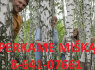Perka mišką su žeme ar isšikirsti, atsiskaitome iš karto 8 - 641 - 07661 Visoje Lietuvoje (1)