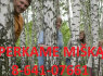 Perka mišką su žeme ar isšikirsti, atsiskaitome iš karto 8 - 641 - 07661 Visoje Lietuvoje