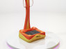 Vibro platforma, vibro plate, magic vib (9)