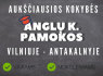 Individualios Anglų k. Pamokos Vilniuje - Antakalnyje