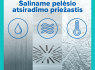 Profesionalus pelėsio naikinimas. Su garantija (4)