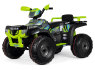 Peg Perego elektromobiliai (10)