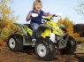 Peg Perego elektromobiliai (3)