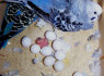 We supply Black palm cockatoo eggs - Blue and gold macaw eggs - Citron cockatoo eggs (2)
