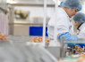 NEMOKAMAS ĮDARBINIMAS ŠKOTIJOJE KREVEČIŲ FABRIKE (5)