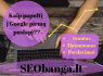 SEO paslaugos Matomumui Pardavimams