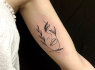 MODUS. LT - tattoo, šalinimas, vėrimas, permanentinis makiažas, laikinos tatuiruotės, kursai (2)