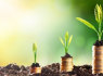 financial services and partnership