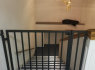 Metaliniai laiptai, turėklai - www. masterweld. lt (4)