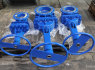 Gate valve 30 42 Dn 250 Pn 10 (4)