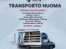 Tentinių, kietašonių, keleivinių mikroautobusų nuoma - priekabų nuoma www. voris. lt (3)