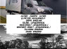 Professional Moving and Cargo Transport Services, Exhibition Transport (3)