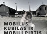 Pirtys ir Kubilai NUOMA 37069999464 ALYTUS NUOMA (4)
