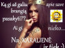 0 - 646 - 15915, MALONŪS LAISVALAIKIO PRALEIDIMAI NIEKUR NESKUBANT IR NESKAIČIUOJANT LAIKO MINUČIŲ (5)