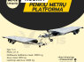 EKSKAVATORIUKŲ TRANSPORTAVIMO PRIEKABŲ NUOMA (4)