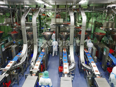 Ieškomi pakuotojai fabrikuose Vokietijoje