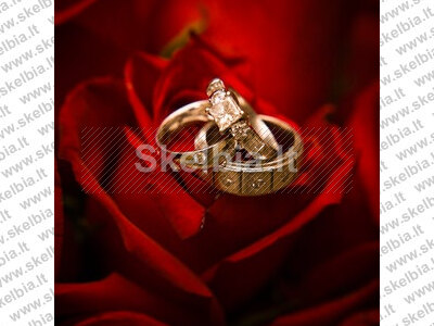 Ieškau sąžiningos merginos